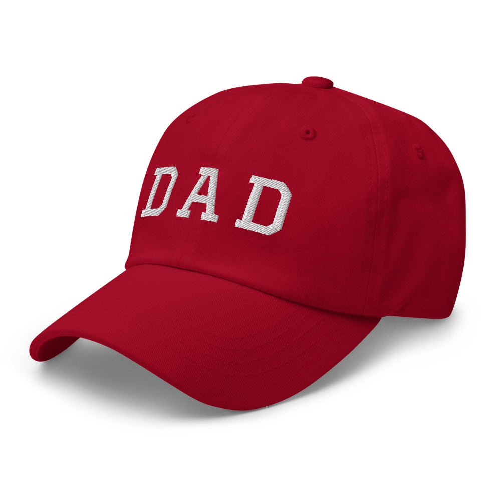 Dad Hat Cranberry